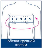 размер