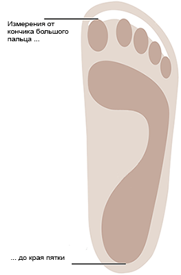 Measure from the tip of the longest toe to the outer edge of your heel.